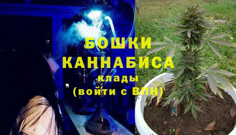 ссылка на мегу как войти  Карачаевск  Марихуана OG Kush 